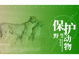 Protect wild animals and maintain the ecological environment ppt template