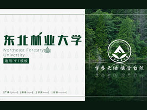 Plantilla ppt general para la defensa de tesis de la Universidad de Ciencia y Tecnología de Foshan-Zhang Weichong