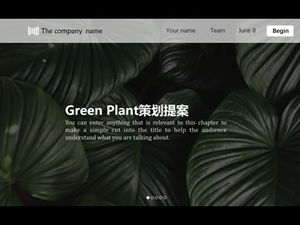녹색 식물 작은 신선한 잡지 스타일 프로젝트 계획 제안 계획 PPT 템플릿