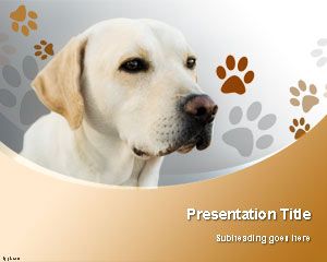 拉布拉多猎犬狗的PowerPoint模板