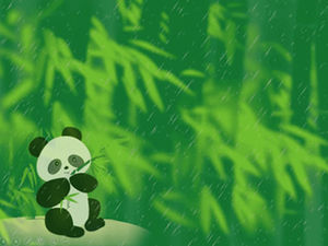 Panda comendo brotos de bambu na primavera após o modelo ppt do panda da chuva