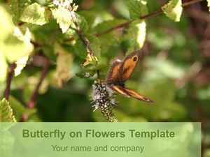 Schmetterling pflücken Blumen natürliche ppt template.ppt