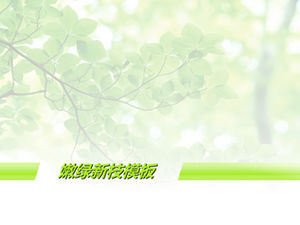 Świeże zielone nowe gałęzie elegancki zielony szablon tła PPT