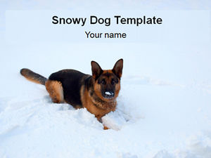 Câine lup în șablonul ppt zăpadă