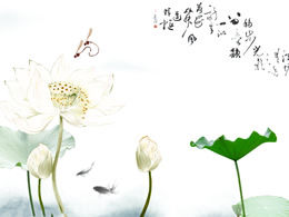 Lotus-chinesische Stil ppt Vorlage