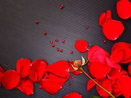 Kelopak mawar yang indah template ppt latar belakang hitam