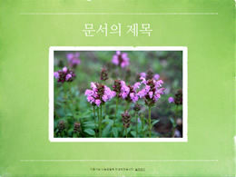 Korea Południowa zielony naturalny krajobraz album fotograficzny szablon ppt