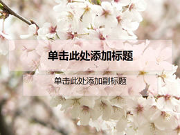 Modello naturale PPT romantico fiore di ciliegio