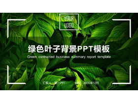 Изысканный шаблон PPT зеленые листья