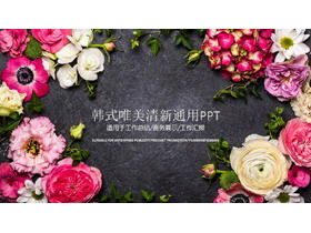 Modelo de PPT de estilo coreano de fundo de flores lindas