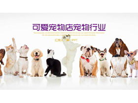 狗和猫排队背景宠物PPT模板