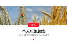 Zusammenfassung der PPT-Vorlage zum Jahresende des Weizenohrhintergrunds
