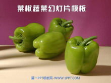 Plant slide template for purple pepper background