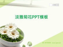 Modèle de diapositive de plante de fond chrysanthème frais et élégant