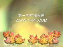 Autumn maple leaf background PPT template download