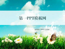 Grass butterfly background natural scenery PPT template download