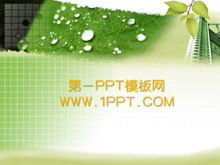 Téléchargement du modèle PPT de plante de fond de feuille verte