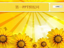 Unduhan template slideshow latar belakang bunga matahari