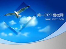 Téléchargement du modèle PPT de fond de mouette volante