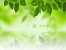 Elegant Korean leaves PPT template download