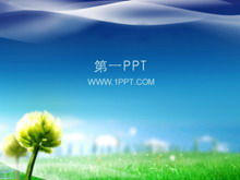 Blaue himmelgrüne Graspflanze PPT Vorlage herunterladen