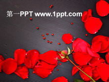 Liebe rote Rose PPT Vorlage herunterladen
