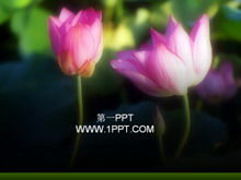 Unduhan template lotus PPT yang menawan
