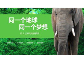 Modelo PPT de reunião de classe temática do Dia Mundial dos Animais com fundo de elefante da floresta