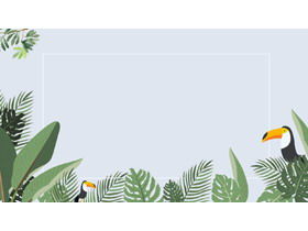 四個卡通巨嘴鳥闊葉植物葉子PPT背景圖片