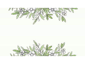 4つの水彩の緑の葉と白い花の植物のPPTの背景画像