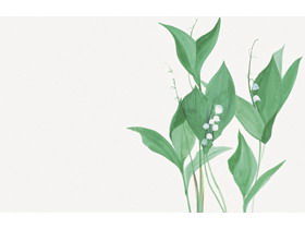 Dwie świeże rośliny akwarelowe i zielone liście PPT zdjęcia tła