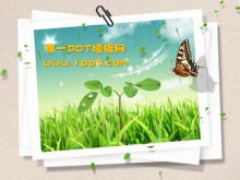 나비 녹색 잔디 슬라이드 배경 templatev