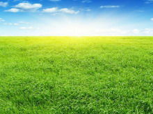 Gambar latar belakang PowerPoint padang rumput yang indah