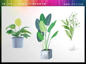 Matériel PPT de trois plantes de bonsaï aquarelle verte