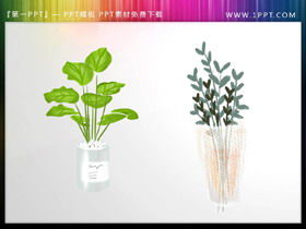 Dua ilustrasi bahan PPT bonsai hijau