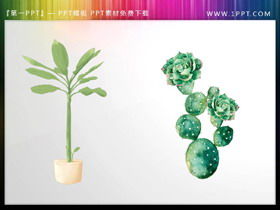 Bonsai verde aquarela e material PPT de cacto