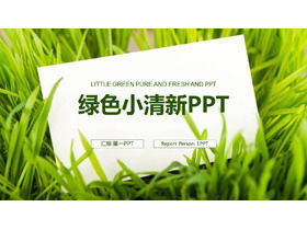 緑の草の白いカードの背景に新鮮な作業計画PPTテンプレート