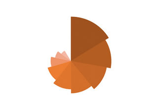 Graphique de la rose du rossignol—— Téléchargement du graphique PPT