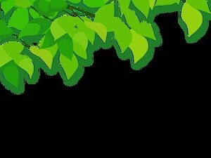 모서리 수정 잎과 녹색 잎 무료 패키지 다운로드(15장)