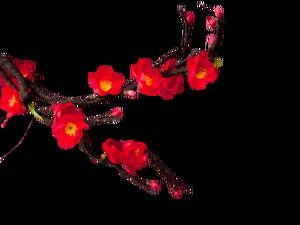 Зимняя слива цветущий персик китайский стиль бесплатный рисунок (5 фото)