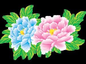 60 sfondo trasparente peonia fiore png pacchetto immagini ad alta definizione download