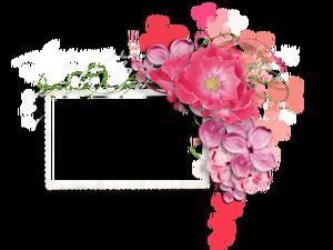 60 изысканных цветочных украшений гирлянды красивая фоторамка png материал изображения (часть 2)