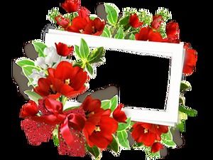 60 zarif çiçek çelenk dekorasyonu güzel fotoğraf çerçevesi png resim malzemesi (açık)