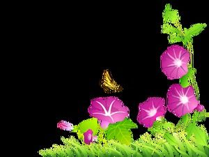 زهرة كرمة ركن الديكور بابوا نيو غينيا صورة المواد (60 صورة)
