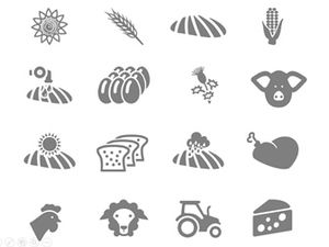 農具、作物、植物、ppt灰色圖標