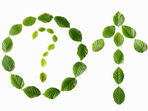 Bahan gambar ppt seri perlindungan lingkungan simbol kreatif daun hijau