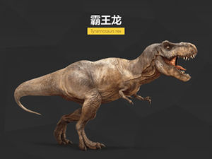 Dinosaur Illustrated ppt material-material ppt penting setelah menonton "Jurassic World" (Jurassic World)