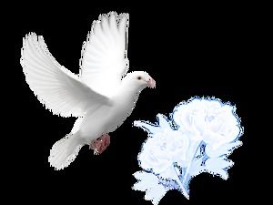 平和の鳩、羽、線、星などpng透明な背景素材
