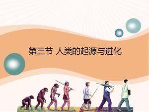 Versão da Universidade Normal de Pequim da origem da evolução humana material didático ppt