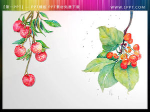 A group of ink fruit PPT material